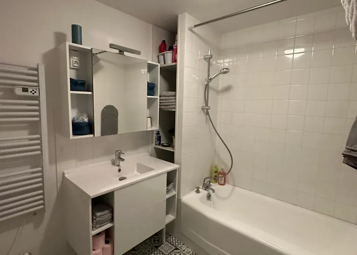 2 Chambres, 4 A 6 Voyageurs En Centre Ville, à 5 Mins Du Zoo Maison d'hôtes La Flèche