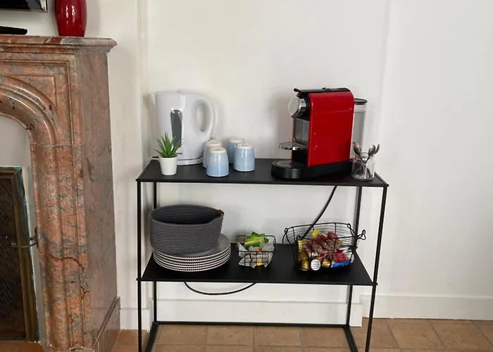 2 Chambres, 4 A 6 Voyageurs En Centre Ville, à 5 Mins Du Zoo La Flèche